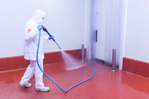 Best Warehouse Cleaning  in Yosemite Lakes, CA